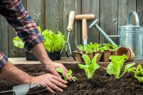 Illustration of a gardener working in a Bermondsey garden near a path, with clear signage indicating accessible route