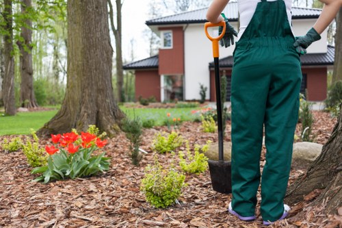A gardener from Gardening Services Bermondsey is working outdoors in a residential garden, standing near a large tree with a thick trunk and visible textured bark. The gardener is dressed in green overalls and gloves, holding a small shovel with an orange handle. The garden features a well-maintained lawn with dense, green grass, bordered by mulched flower beds containing various plants and flowers. In the foreground, there is a cluster of bright red tulips and a small, neatly trimmed shrub with light green foliage. The background reveals a modern, two-storey house painted in warm, earthy tones, with large windows and a pitched roof. The scene shows a clear, sunny day with natural light illuminating the garden, suggesting ongoing outdoor maintenance. The setting indicates a neatly landscaped backyard with established trees, flowering plants, and lawn care, reflecting professional gardening and landscaping practices typical of residential properties in Bermondsey.
